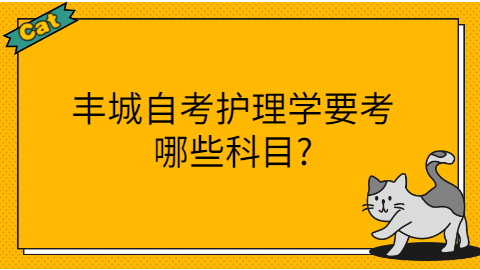 豐城自考考試科目
